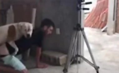 在一部火辣的色情电影中男人被一只脏狗干了