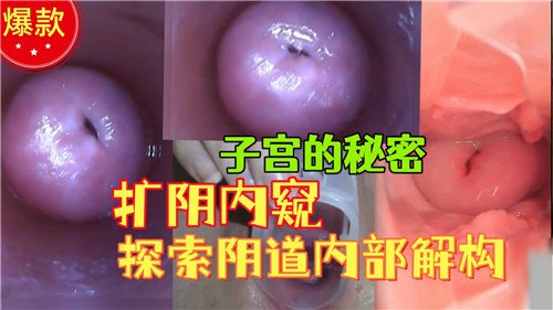 子宫的秘.密扩阴内窥探索阴道内部结构