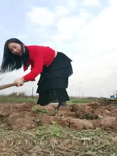 骚气红衣少妇【我要找一夜情】喜欢户外露出,野外锄地露出大屁股塞着跳蛋,旁边还有人回车上自慰