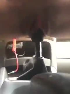 女士开手动档的车,是有好处的,大白天就饥渴,小骚逼速度来回自动杠,很久没爱爱了吧好看的湿穴!